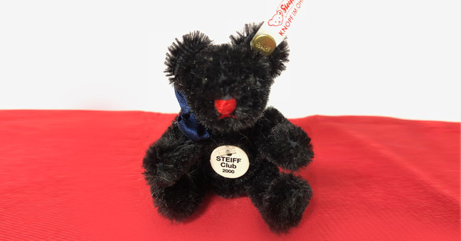 Mini Teddy schwarz   Mini Teddy schwarz