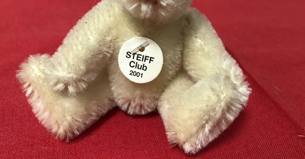 Mini Teddy weiß   Mini Teddy weiß