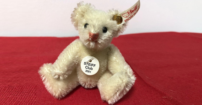 Mini Teddy weiß   Mini Teddy weiß