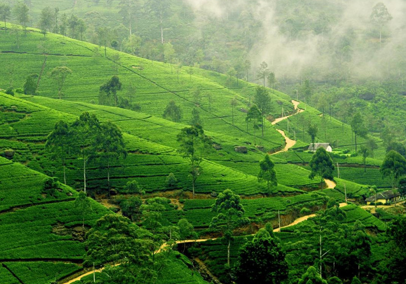  Mit Etihad nach Asien 