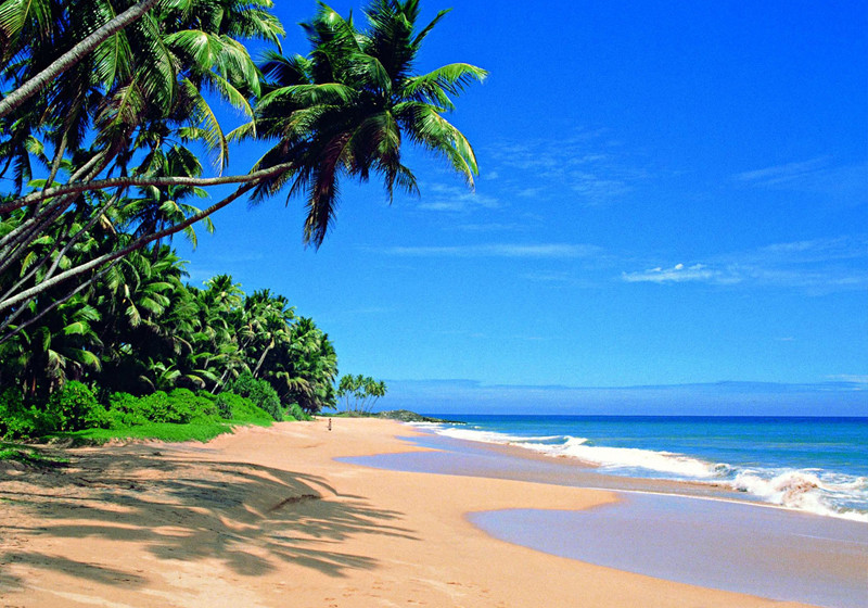  Mit Etihad nach Asien 