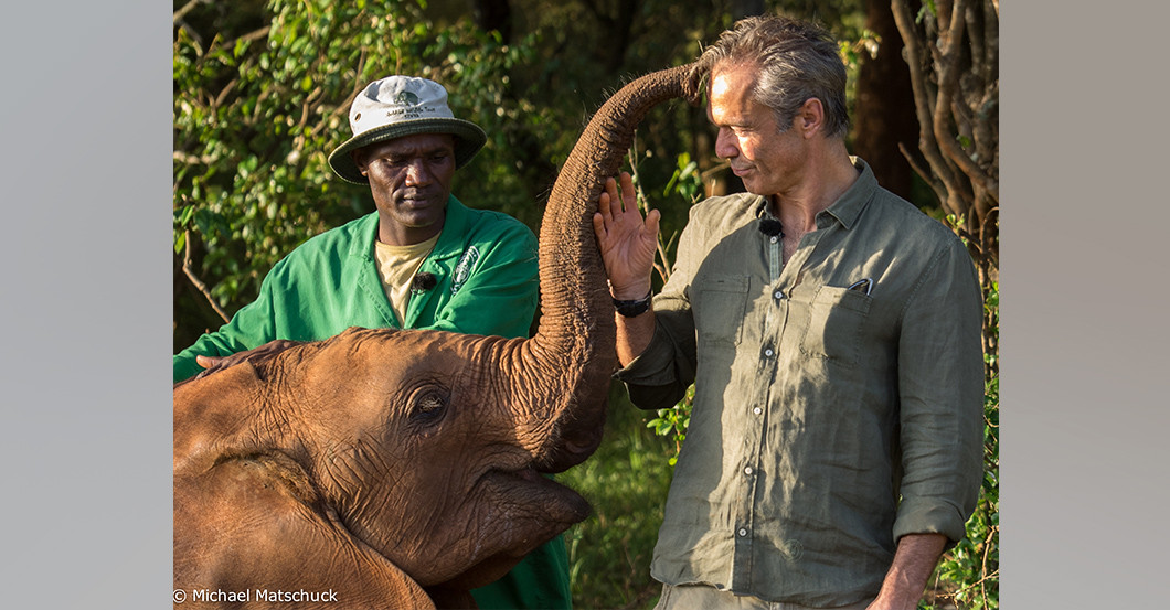  Mondbergekalender Elefant 