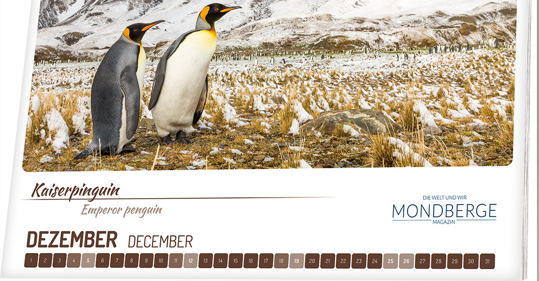  Mondbergekalender Nashorn 