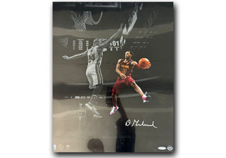  NBA Bild Garland 