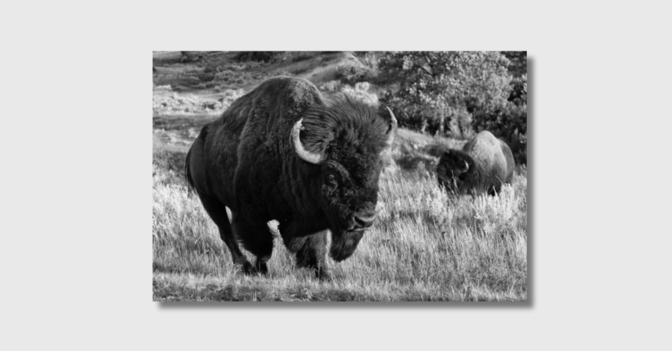 NCL Baumann Fotografie   NCL Baumann Fotografie