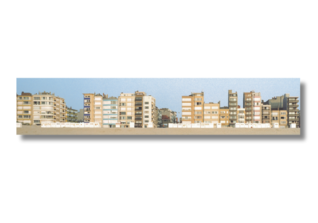  NCL Fotografie Diergarten 