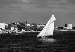  NCL Fotografie Rockfish 