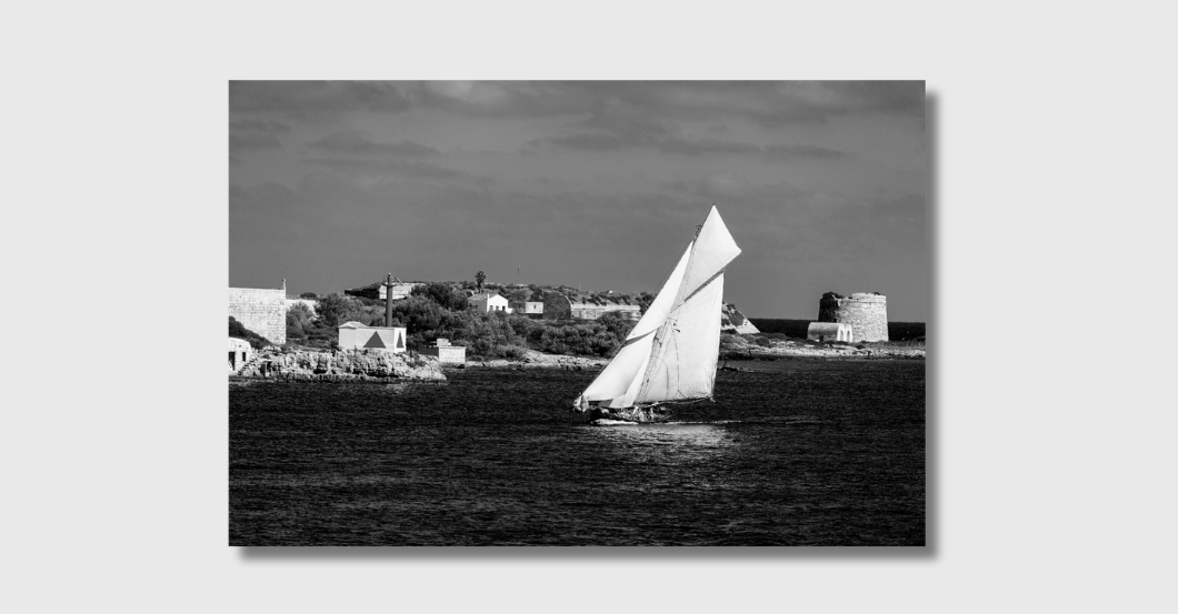 NCL Fotografie Rockfish   NCL Fotografie Rockfish
