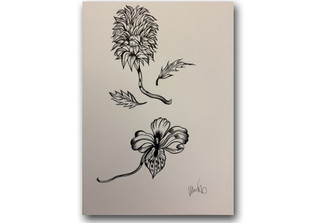  NCL Hajek Skizze Blumen 