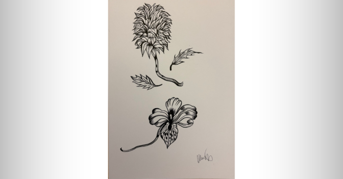 NCL Hajek Skizze Blumen   NCL Hajek Skizze Blumen