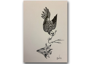  NCL Hajek Skizze Vogel 