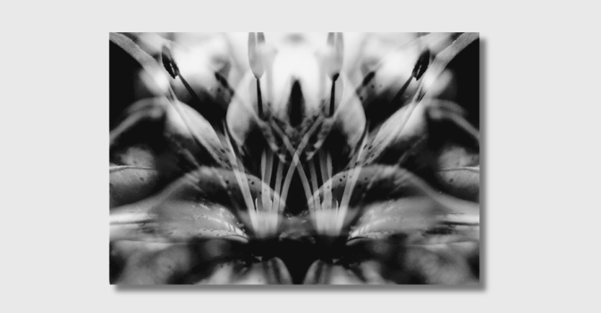 NCL Hillesheimer Foto   NCL Hillesheimer Foto