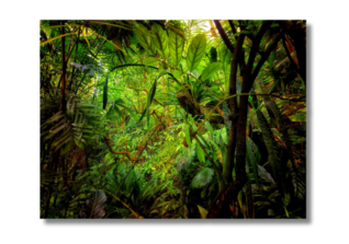  NCL Pawlok Fotografie 