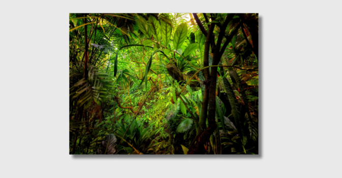 NCL Pawlok Fotografie   NCL Pawlok Fotografie