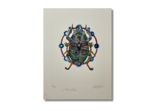  NCL Weische Skarabäus 