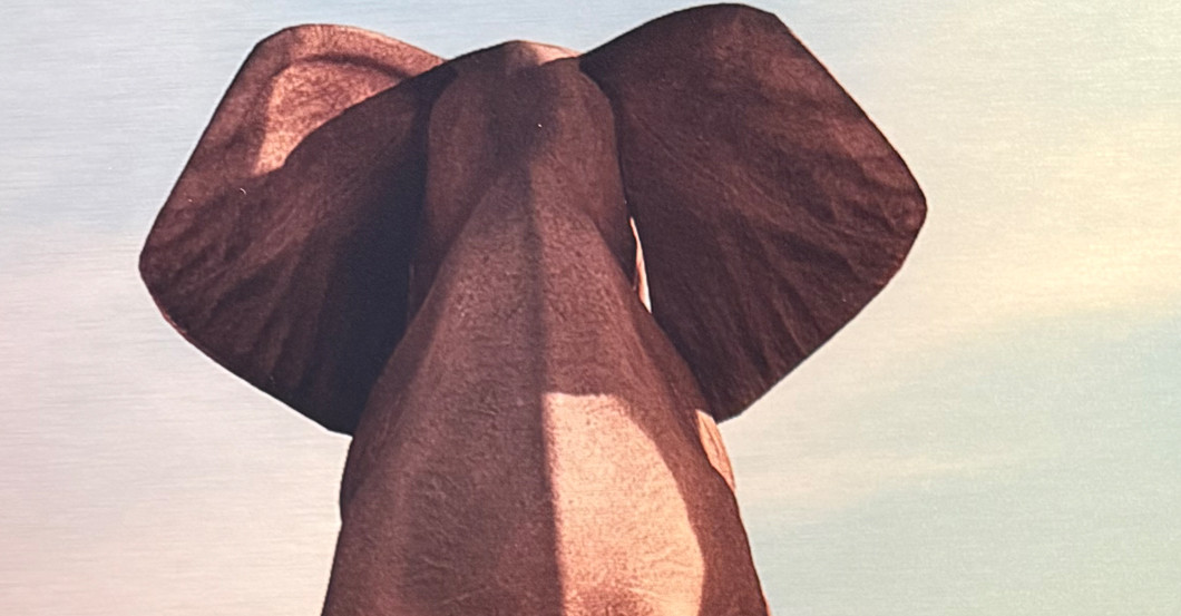 Nik P Easy One High   Nik P Easy One High