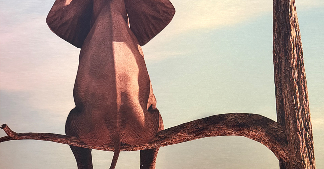 Nik P Easy One High   Nik P Easy One High