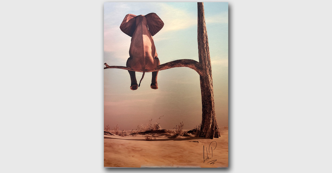 Nik P Easy One High   Nik P Easy One High