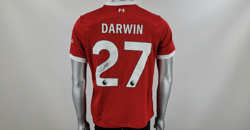 Nunez Liverpool Trikot    Nunez Liverpool Trikot