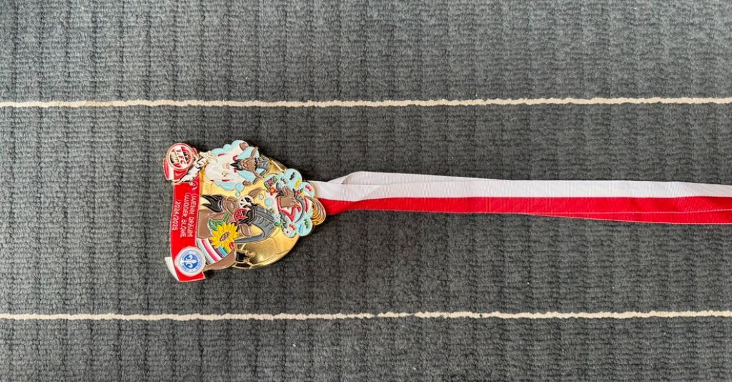 Ordner SV Darmstadt   Ordner SV Darmstadt