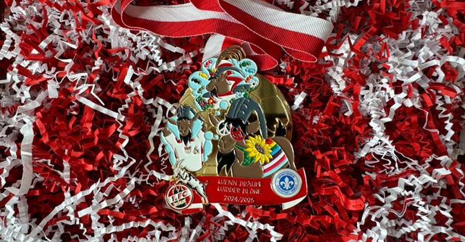 Ordner SV Darmstadt   Ordner SV Darmstadt