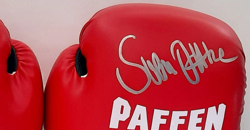 Ottke Boxhandschuhe rot   Ottke Boxhandschuhe rot