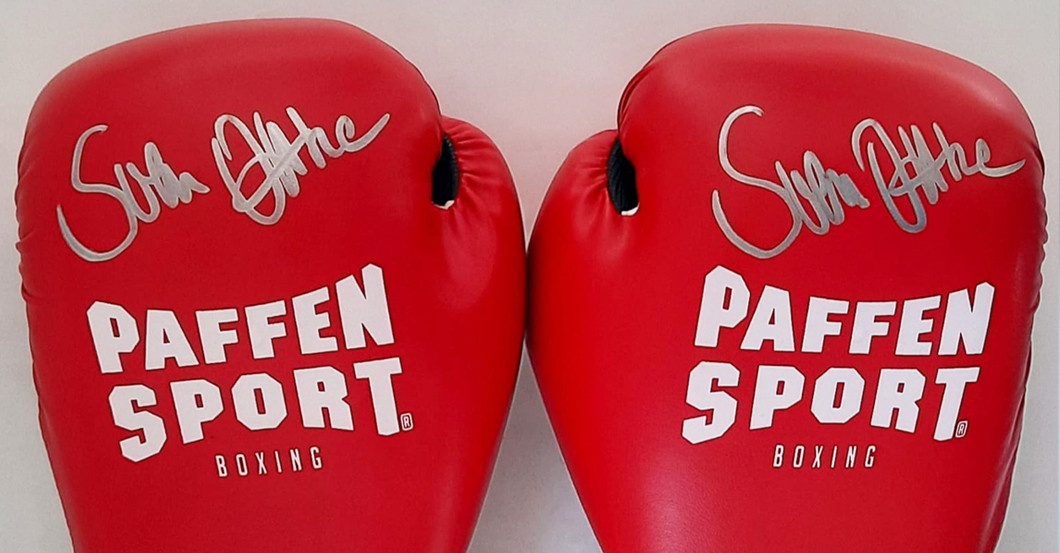 Ottke Boxhandschuhe rot   Ottke Boxhandschuhe rot