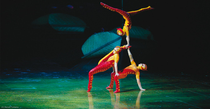 Ovo Cirque du Soleil 3   Ovo Cirque du Soleil 3