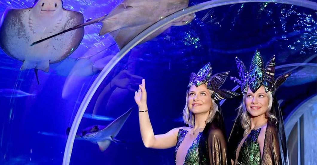 Pahde Kostüm grün   Pahde Kostüm grün