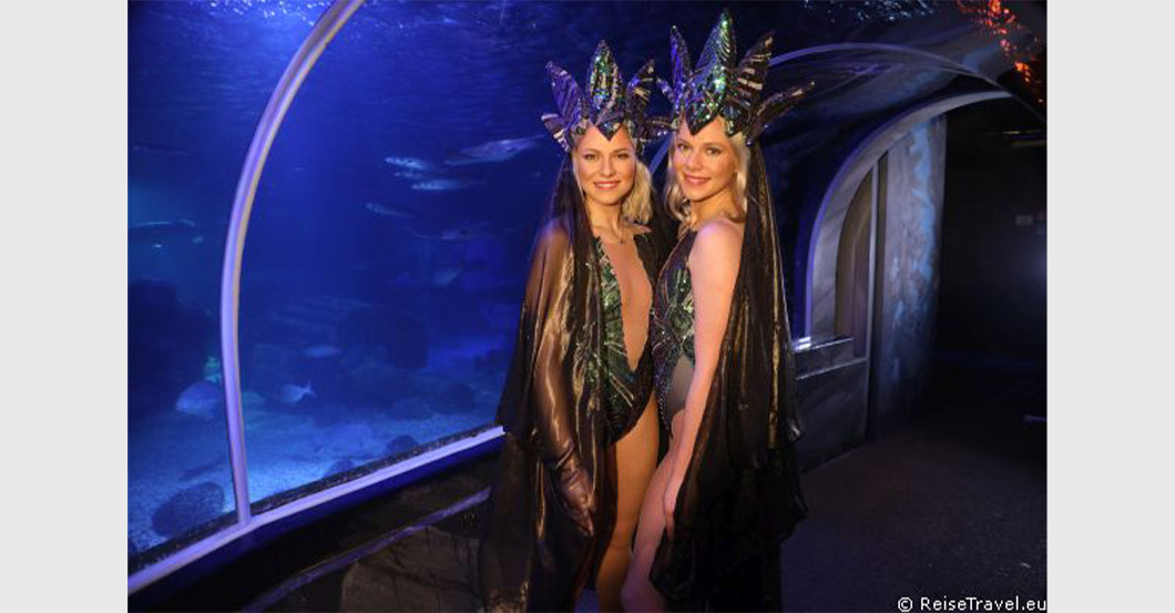 Pahde Kostüm grün   Pahde Kostüm grün