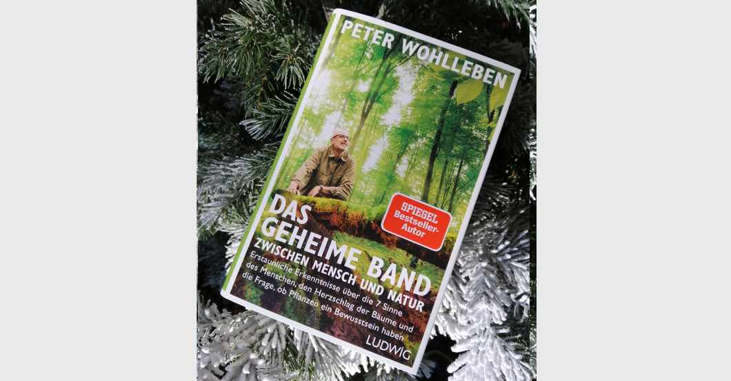Peter Wohlleben Set   Peter Wohlleben Set