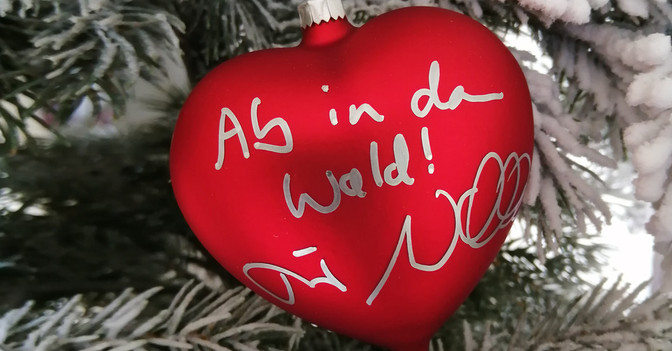 Peter Wohlleben Set   Peter Wohlleben Set