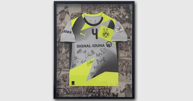  Plan Grijseels Trikot 