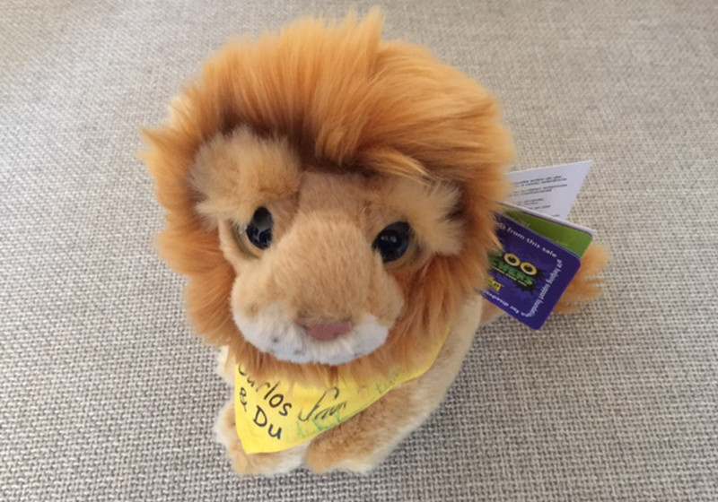  Plüschlöwe von TV-Stars 