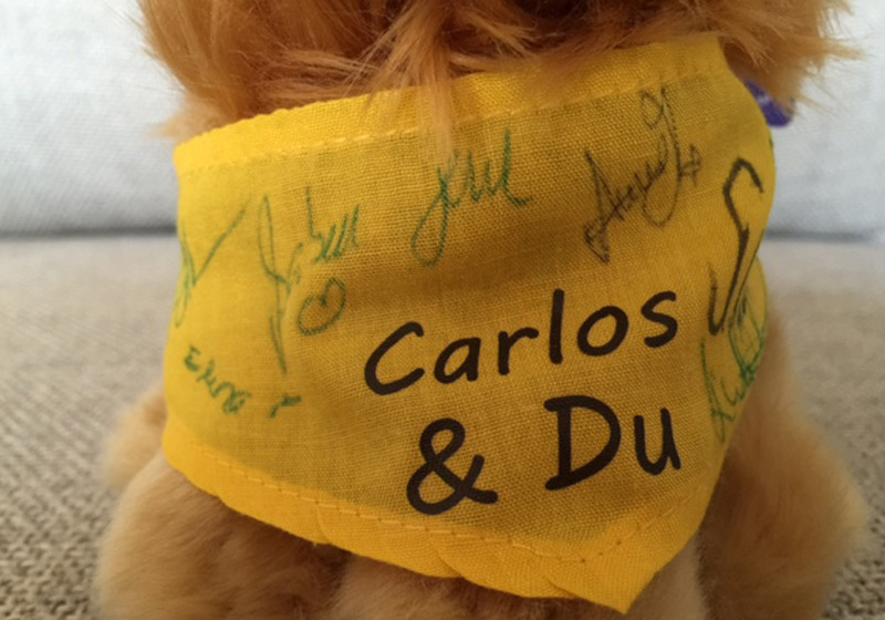  Plüschlöwe von TV-Stars 