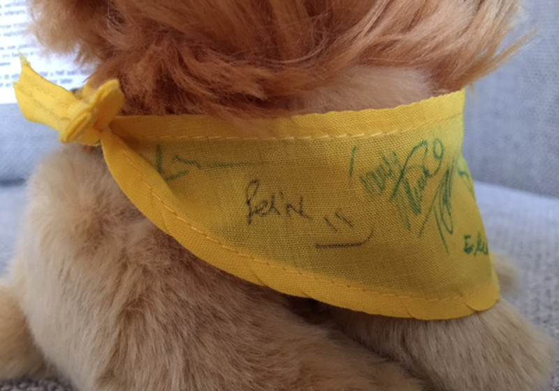  Plüschlöwe von TV-Stars 