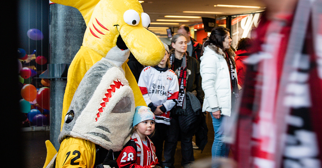  Pool-Konzert Maskottchen 