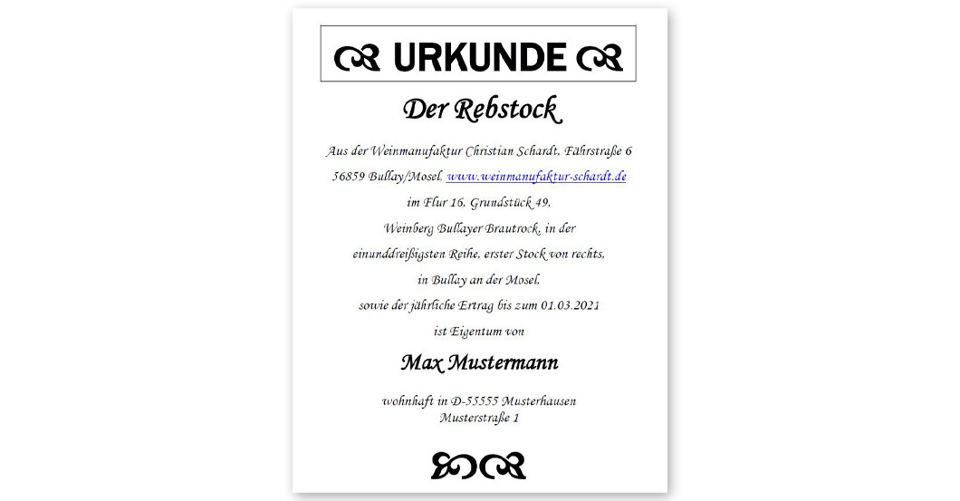  Pool-Konzert und Weinrebe 