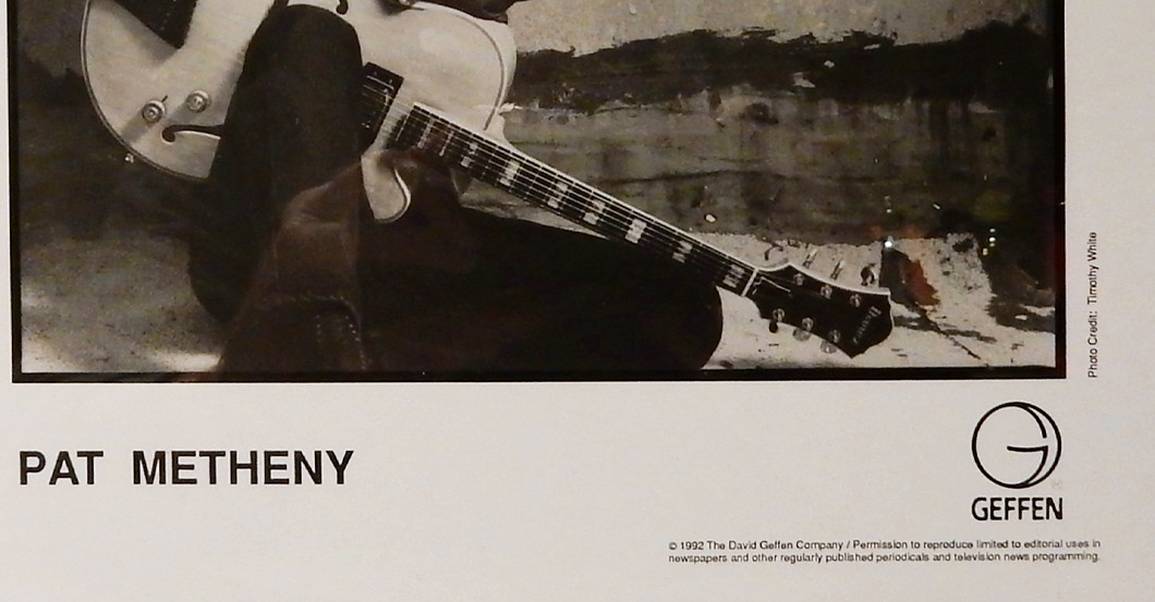  Portrait Pat Metheny 