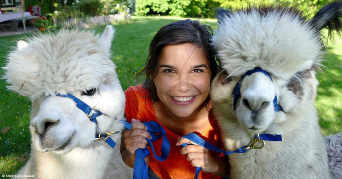  Preil Alpaka Wanderung 