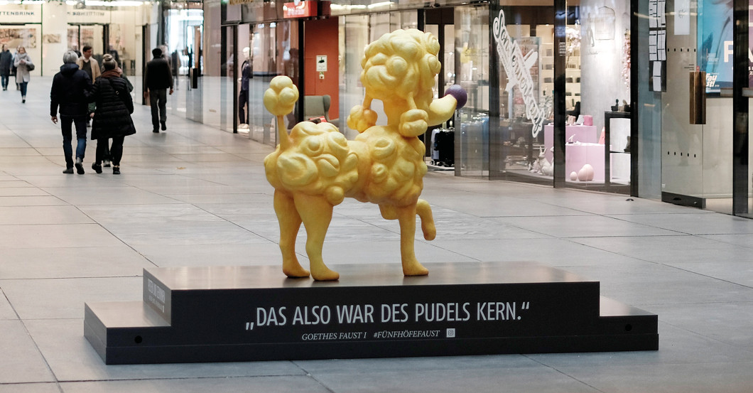 Pudel Luzi   Pudel Luzi