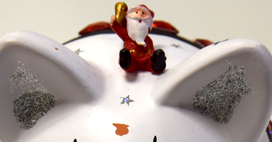  Rehbeins Glücksschwein 