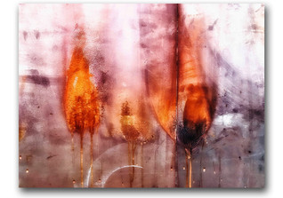  Rettinger Metamorphosis 