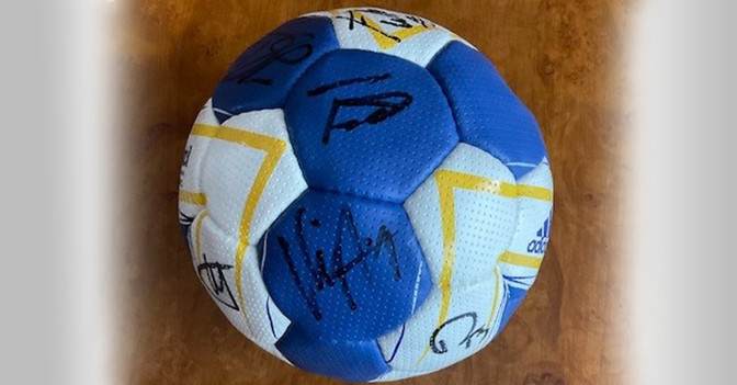 Rhein Neckar Löwen Ball   Rhein Neckar Löwen Ball