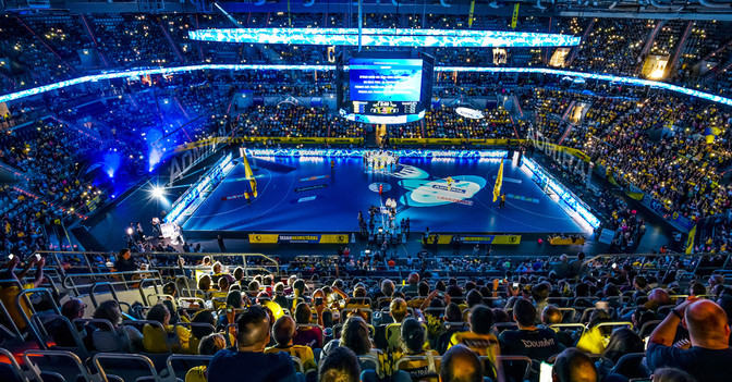 Rhein Neckar Löwen Tag   Rhein Neckar Löwen Tag