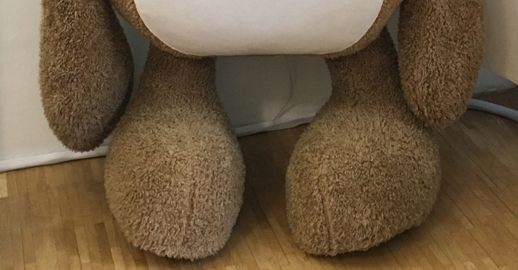  Riesiger Keinohrhase 