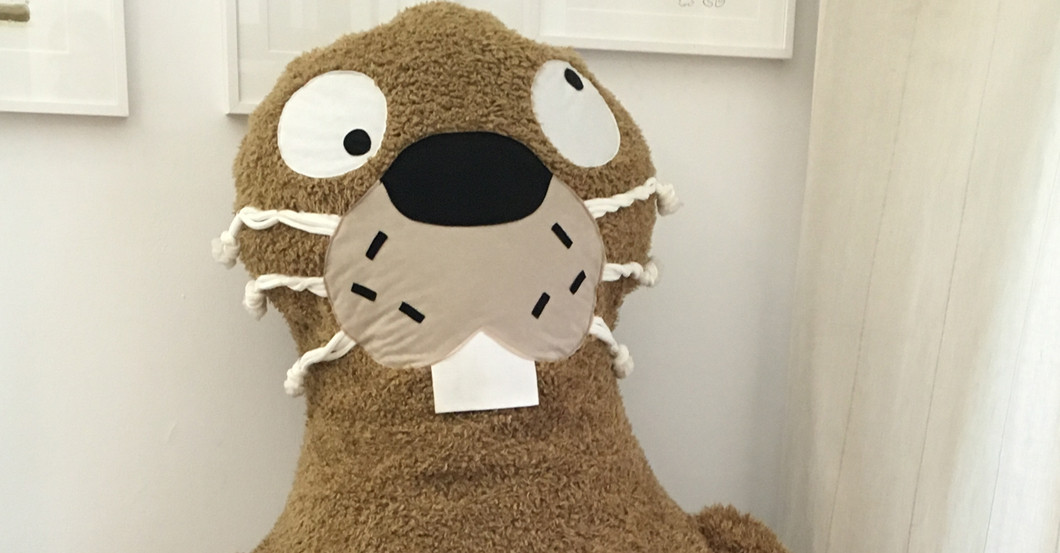  Riesiger Keinohrhase 