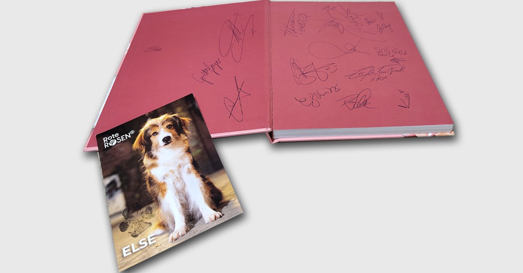  Rote Rosen Kochbuch 