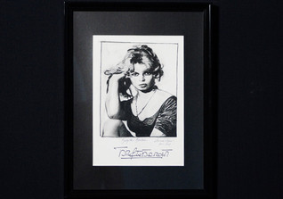 RSM Zeichnung Bardot RSM Zeichnung Bardot