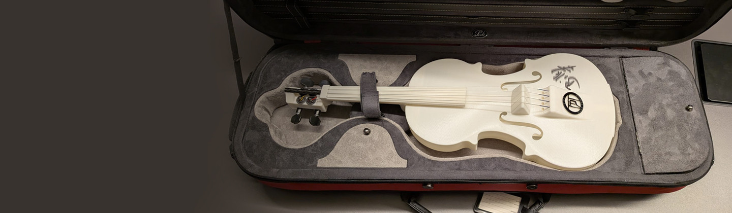  RTL Billy Andrews Geige 